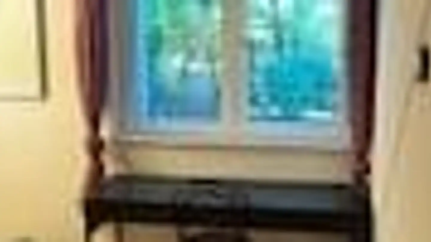 Studio in affitto - Chemin De La Nonnette, 1292 Chambésy - Photo 3