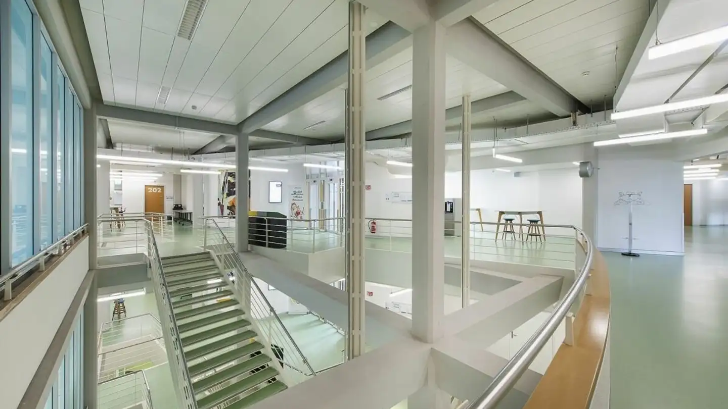 Bürofläche mieten - Bederstrasse 115, 8002 Zürich - Foto 3