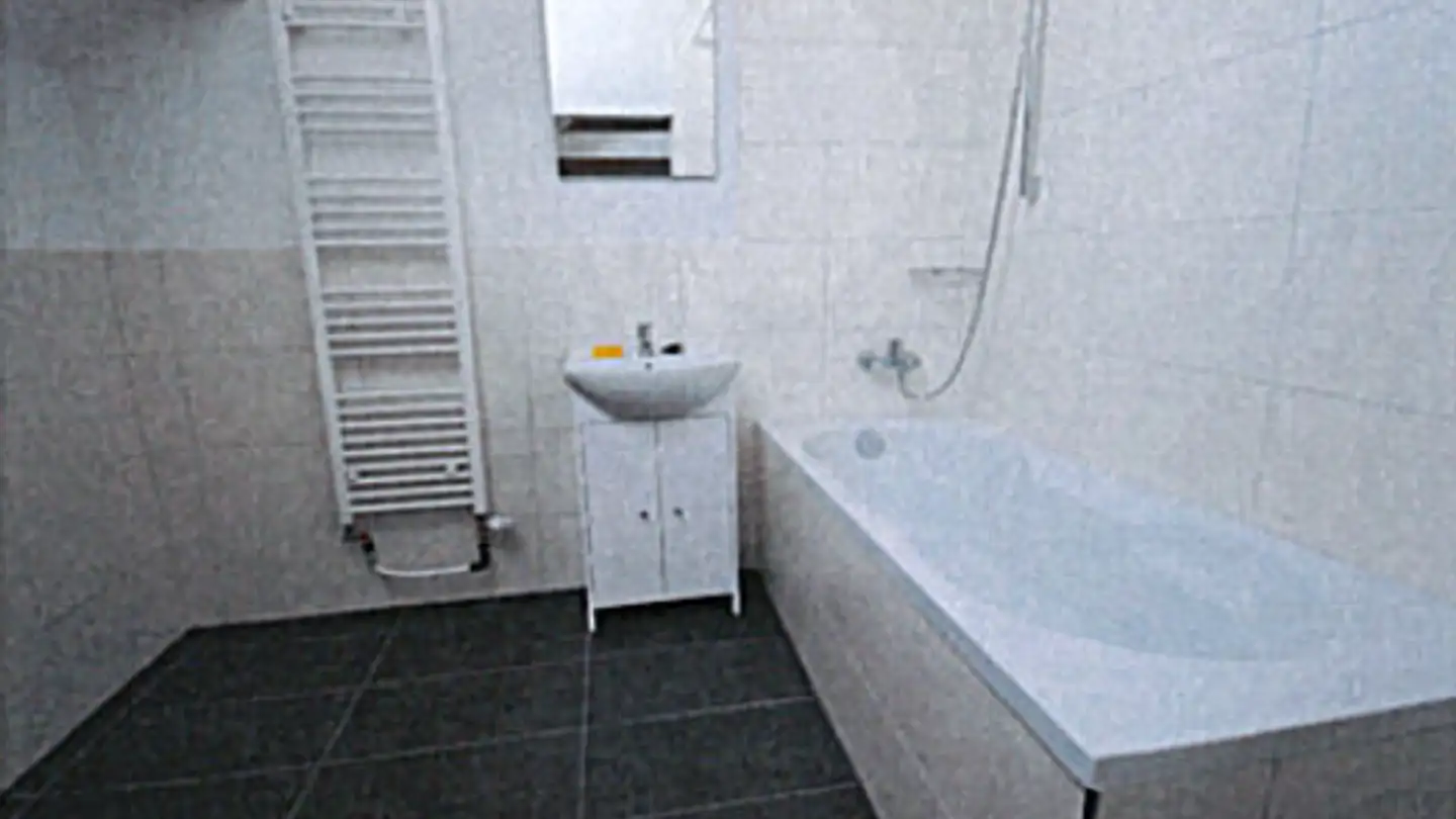 Appartement à louer - Oberglatt 1683, 9230 Flawil - Photo 2
