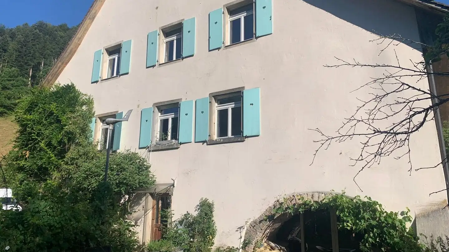 Apartment for rent - 4229 Beinwil SO