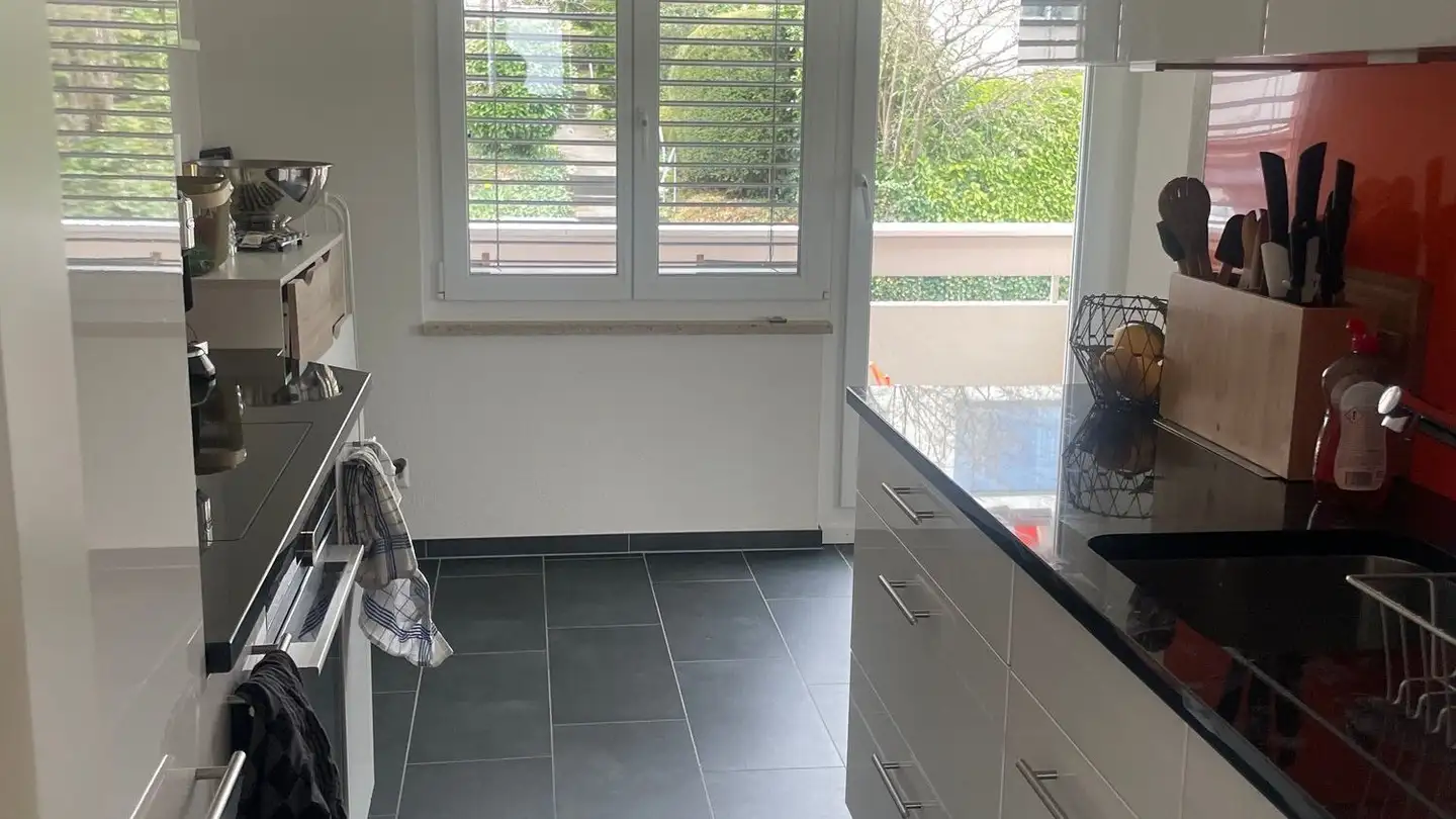 Appartement à louer - Alte Landstrasse, 8800 Thalwil - Photo 3