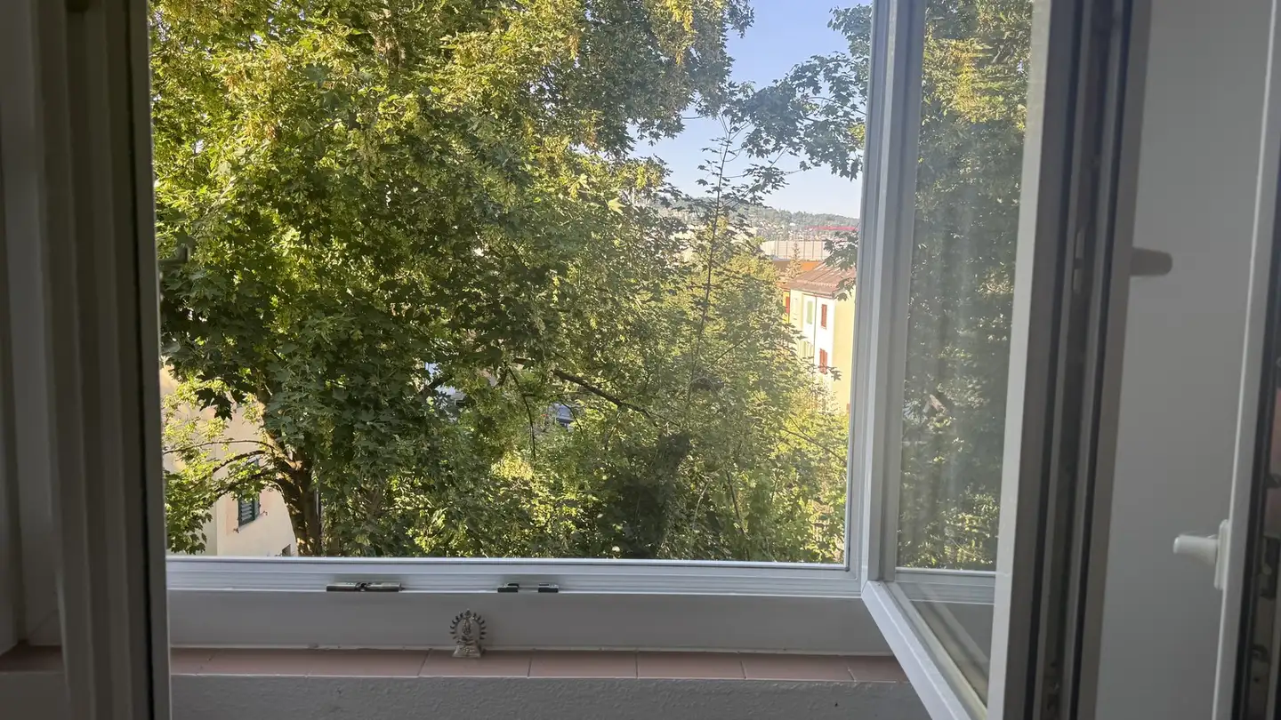 Zimmer mieten - Badenerstrasse 566, 8048 Zürich - Foto 2