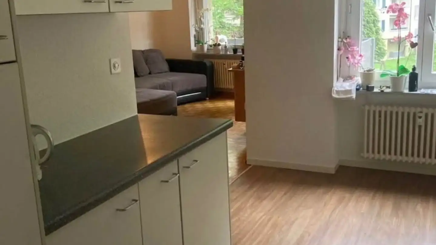 Appartement à louer - Bechburgerstrasse, 4052 Basel - Photo 4