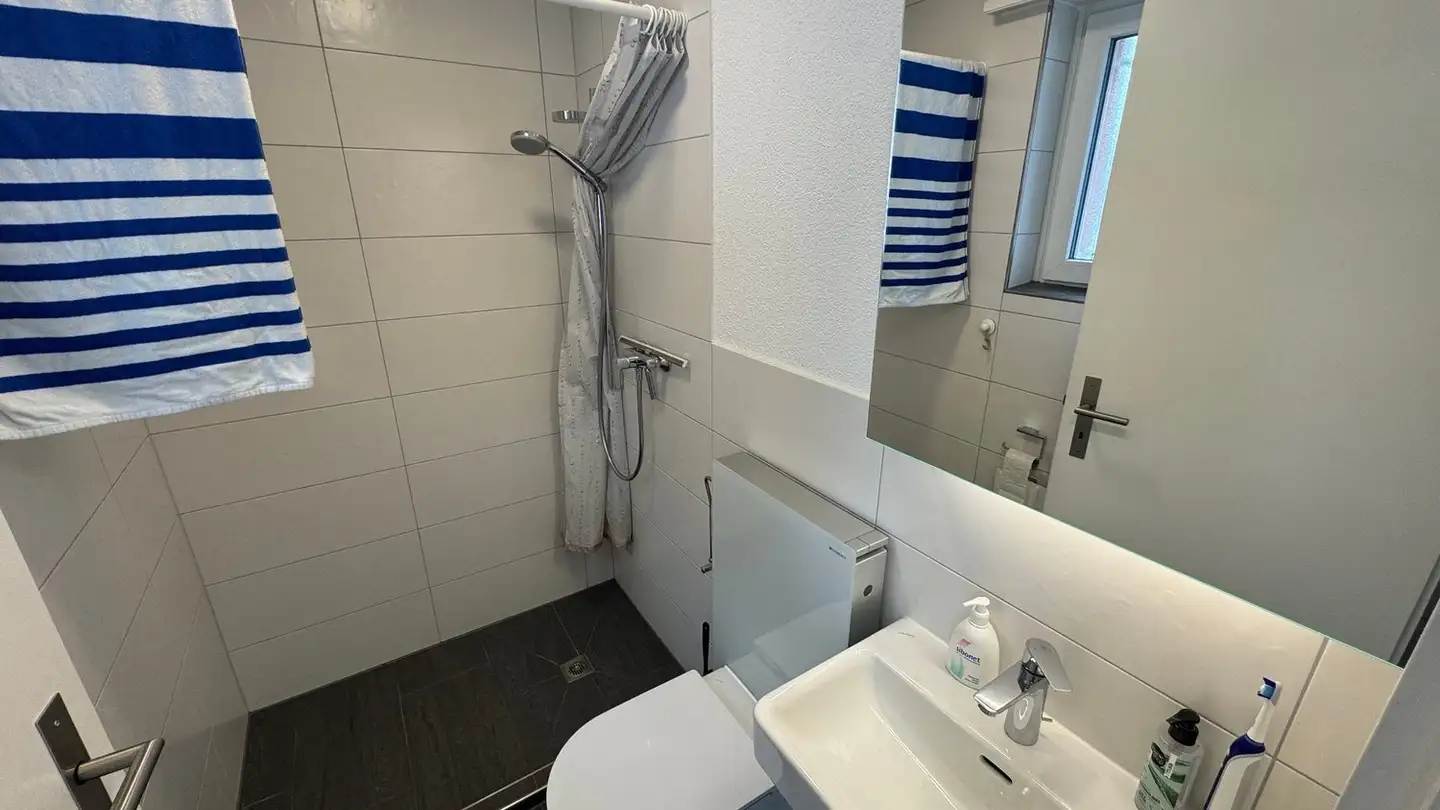 Apartment for rent - Speerstrasse 22, 8738 Uetliburg SG - Photo 4