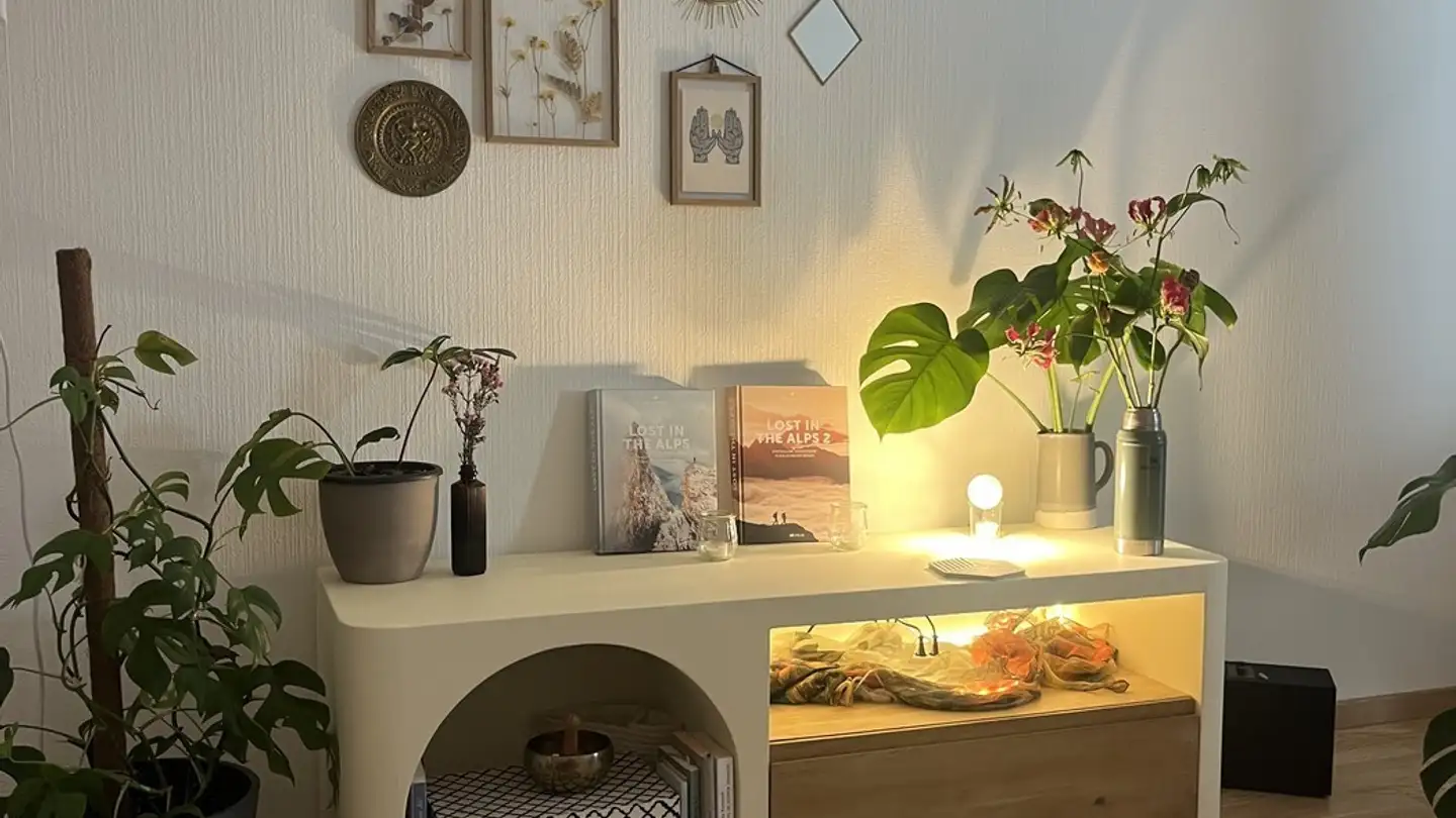 Appartamento in affitto - 8055 Zürich