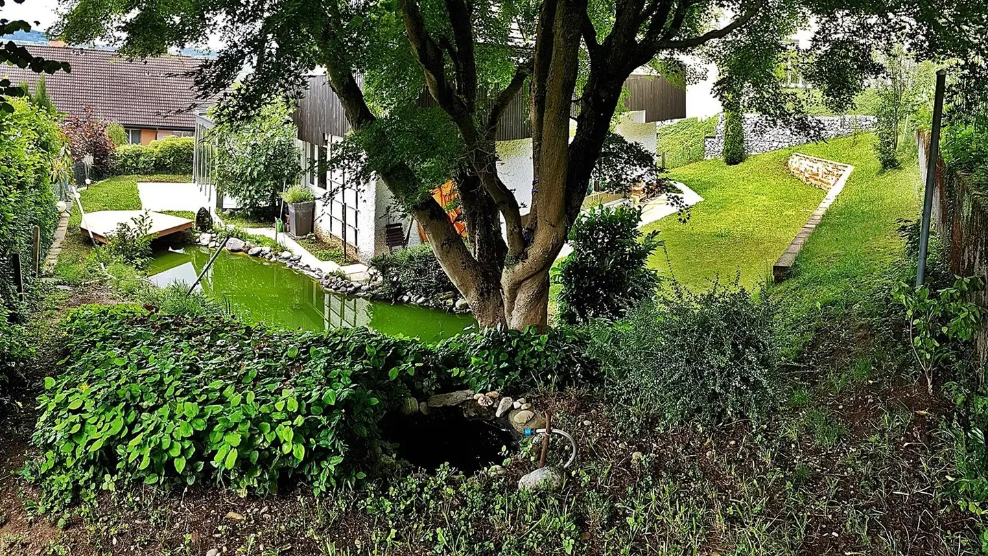 Zimmer mieten - Im Schwizergut 26, 8610 Uster - Foto 2