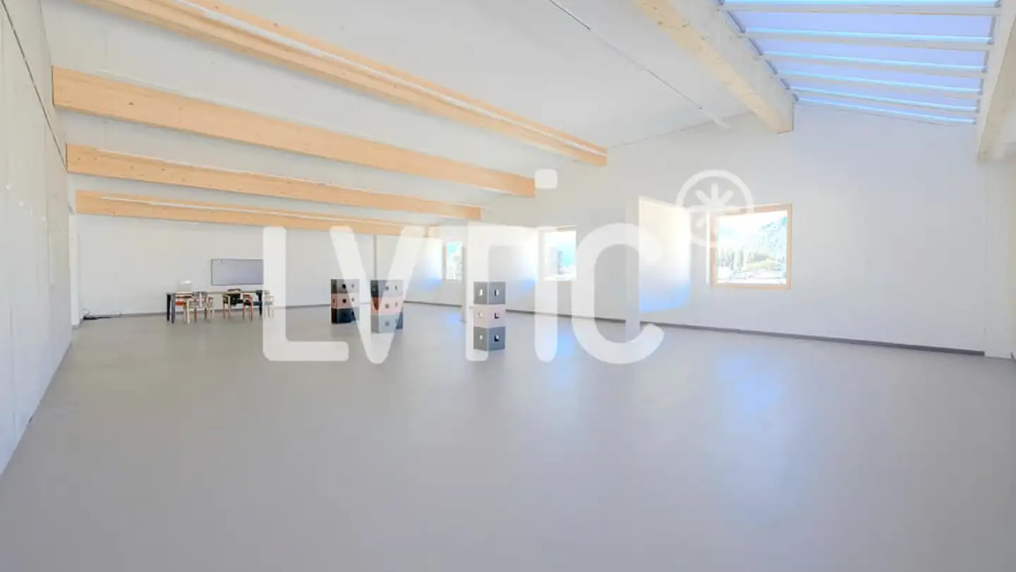 Commercial for rent - 1920 Martigny