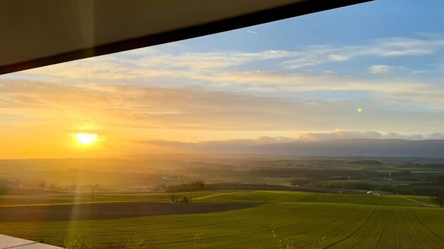 Apartment for rent - 1036 Sullens