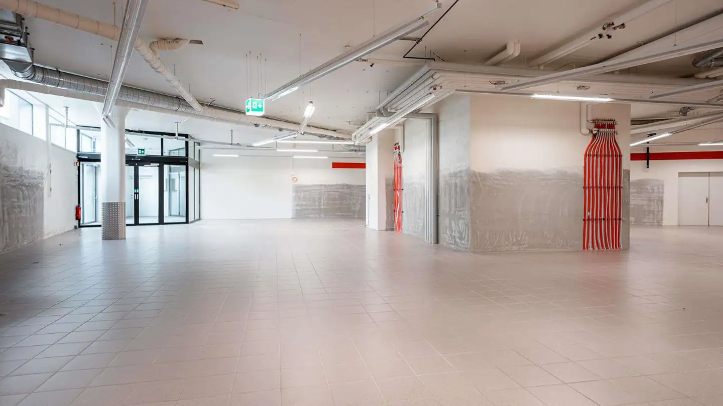 Landwirtschaftsbetrieb mieten - Konsumstrasse 3, 9403 Goldach - Foto 4