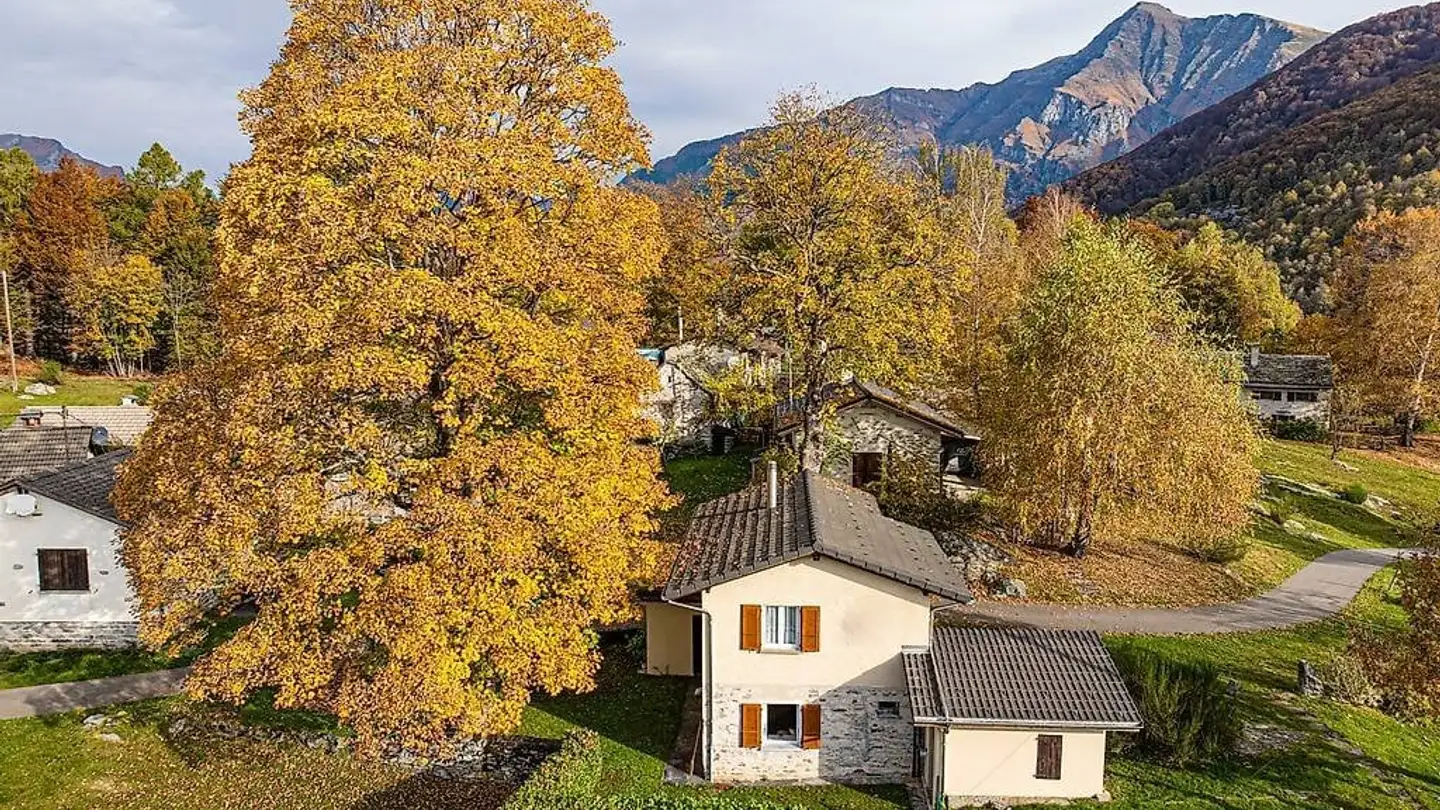 Einfamilienhaus kaufen - Monti Di Motti - Alpe Di Foppiana, 6596 Gordola