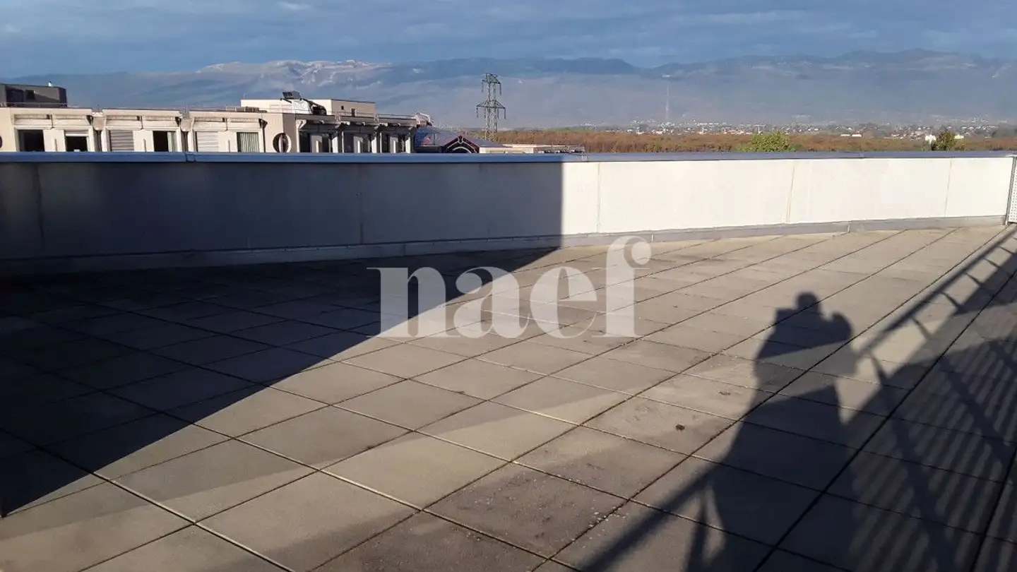 Attico in affitto - Route De Ferney 218, 1218 Le Grand-Saconnex - Photo 4