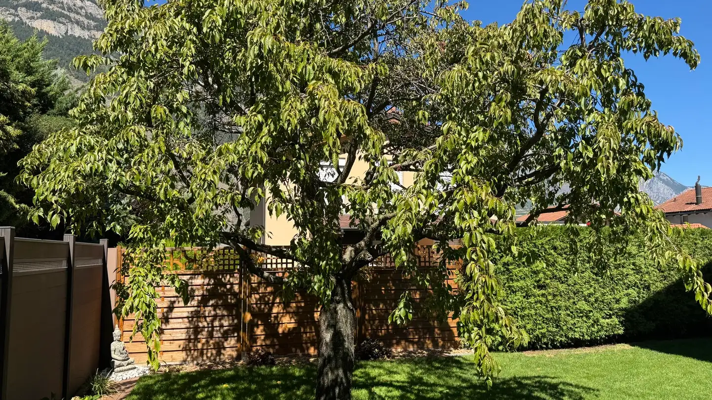 Villa for sale - 1907 Saxon - Photo 4