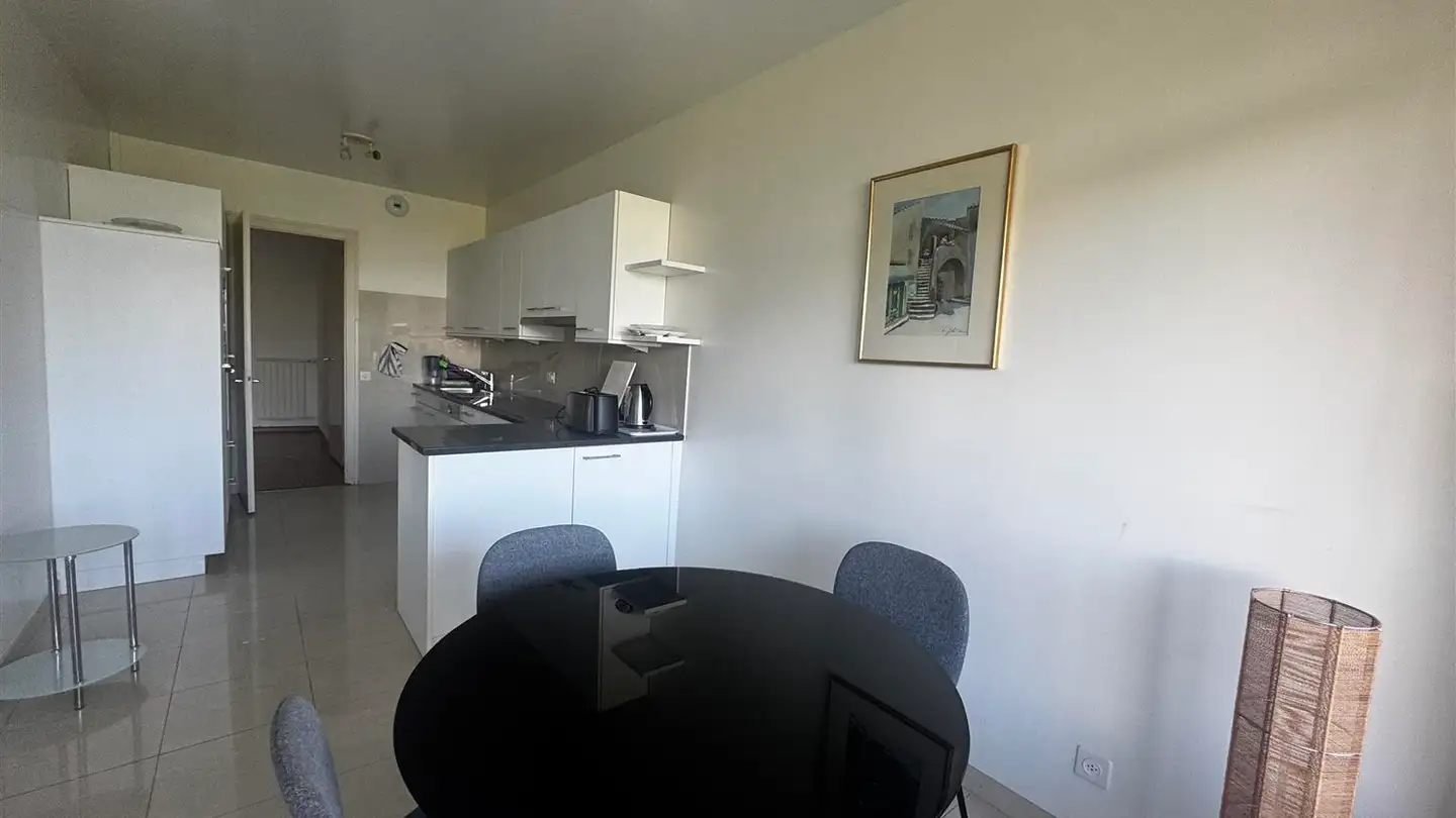 Appartamento ammobiliato in affitto - Avenue De-Budé 6, 1202 Genève