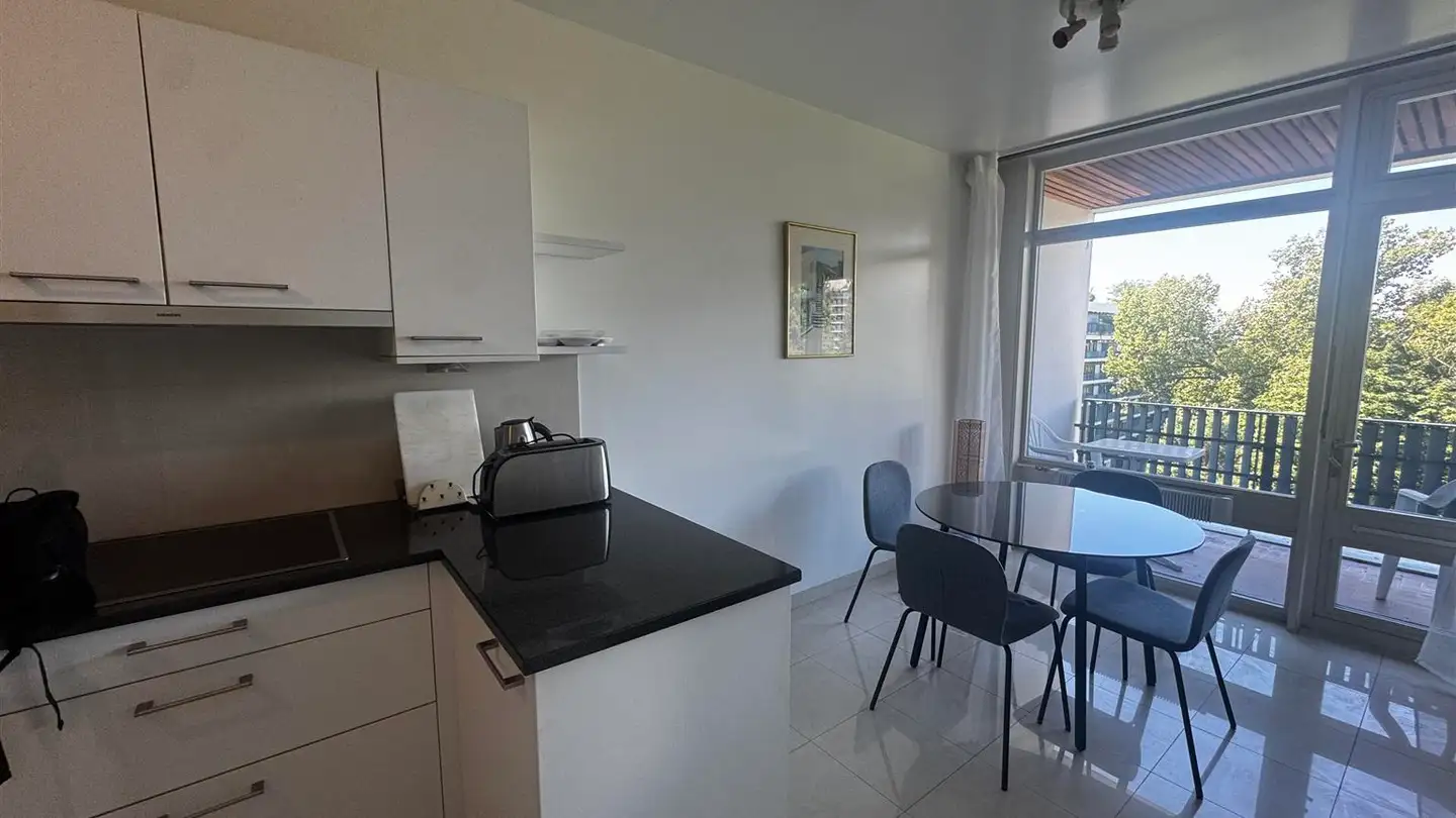 Appartamento ammobiliato in affitto - Avenue De-Budé 6, 1202 Genève - Foto 3