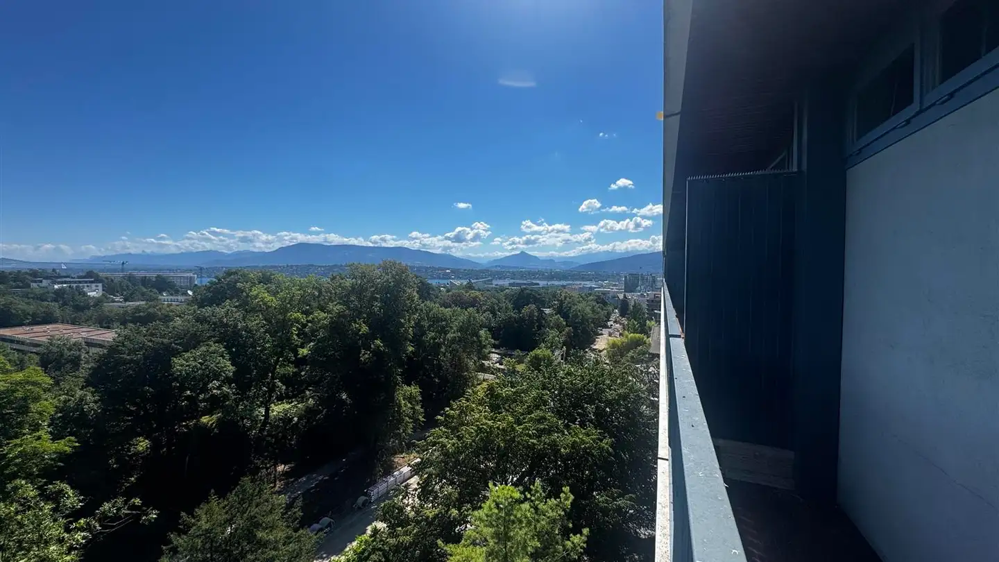 Appartamento ammobiliato in affitto - Avenue De-Budé 6, 1202 Genève - Foto 4
