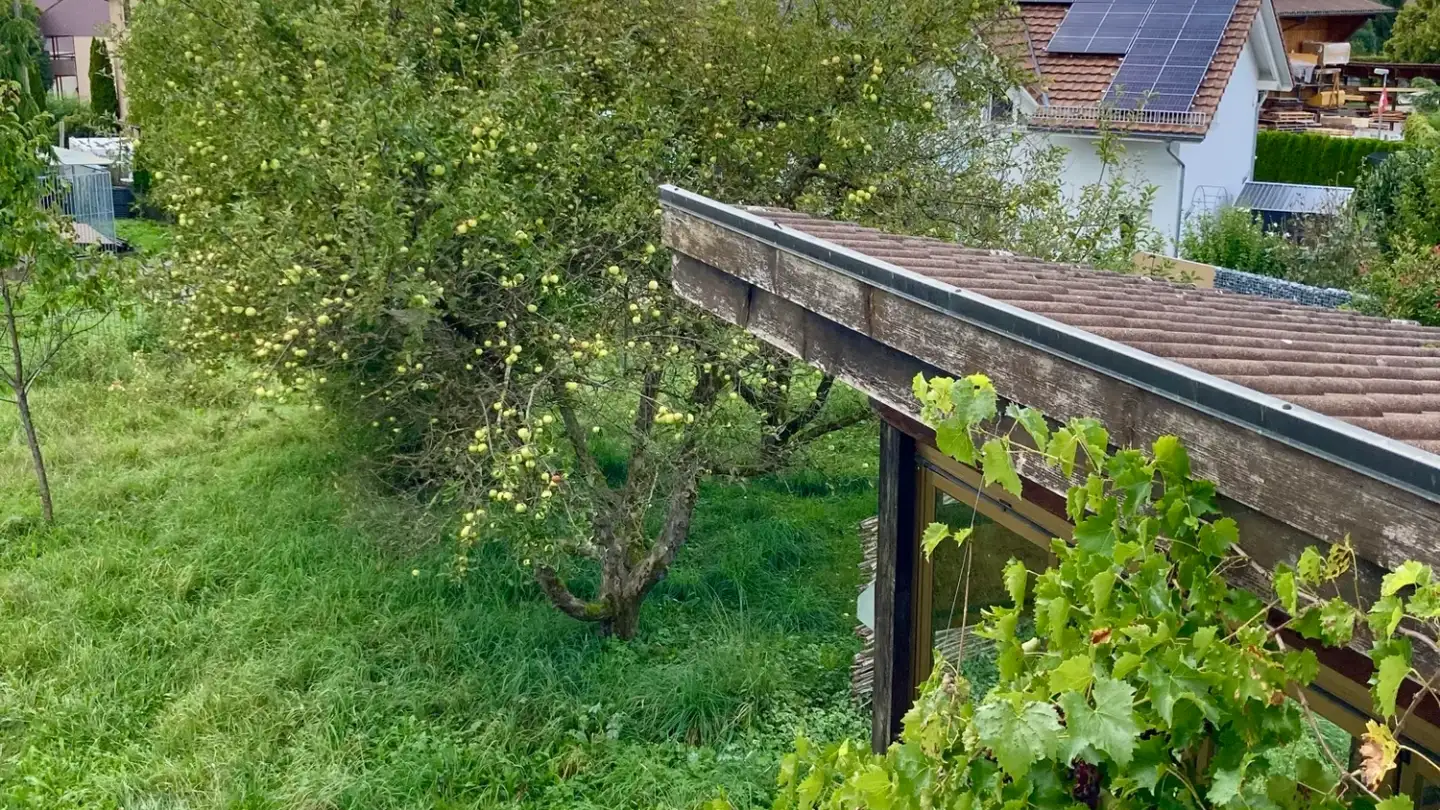 Appartamento in affitto - Sonnenhalde 17, 9553 Bettwiesen