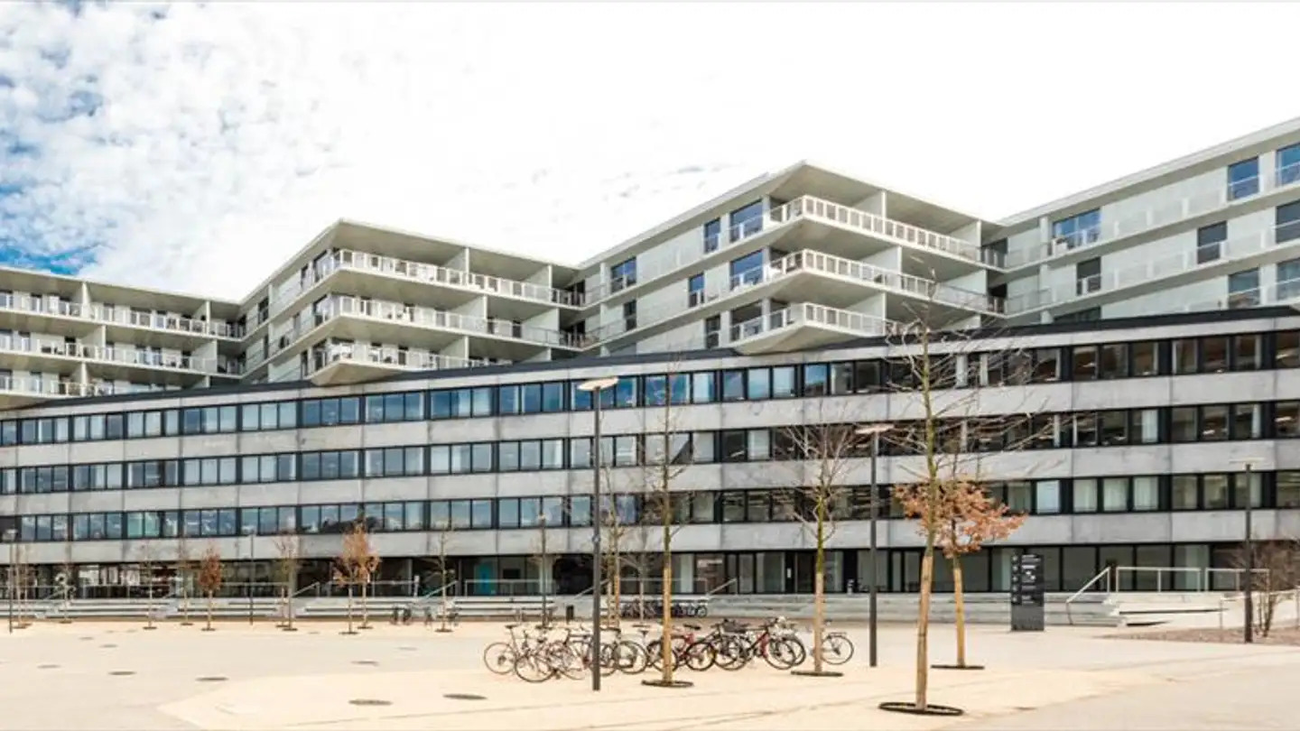 Duplex for rent - Freilagerplatz 2, 4142 Münchenstein