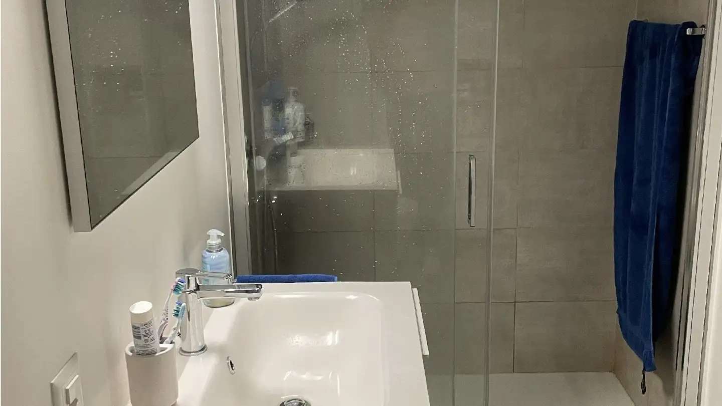 Apartment for rent - Via Dei Gelsi, 6533 Lumino - Photo 4