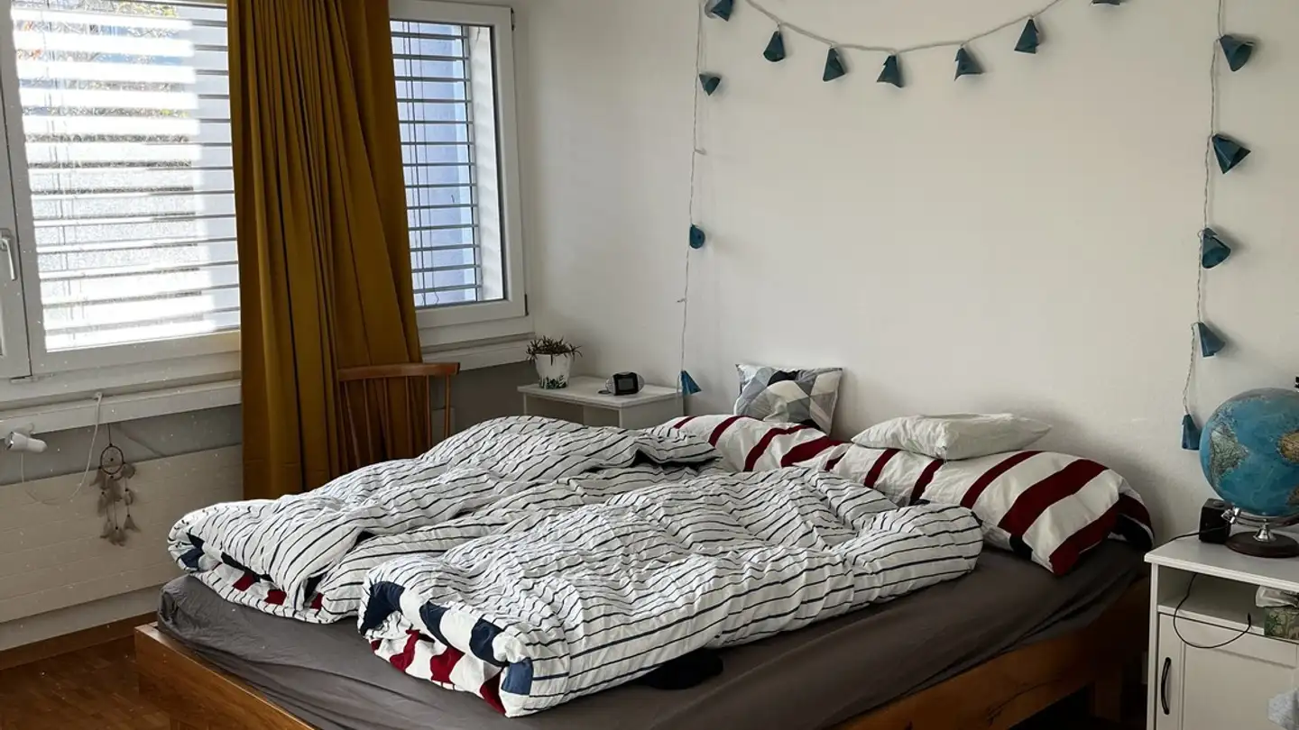 Appartamento in affitto - 8610 Uster - Photo 3