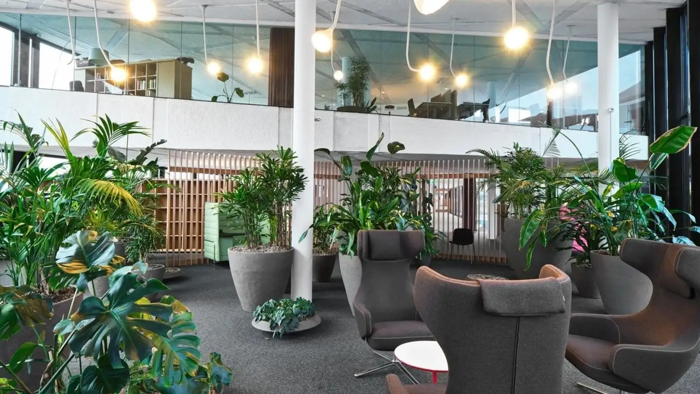 Bureau à louer - Centralbahnstrasse 4, 4051 Basel - Photo 4