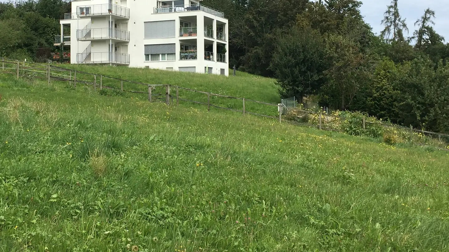 Wohnung mieten - Altschlossweg 4, 8805 Richterswil - Foto 3