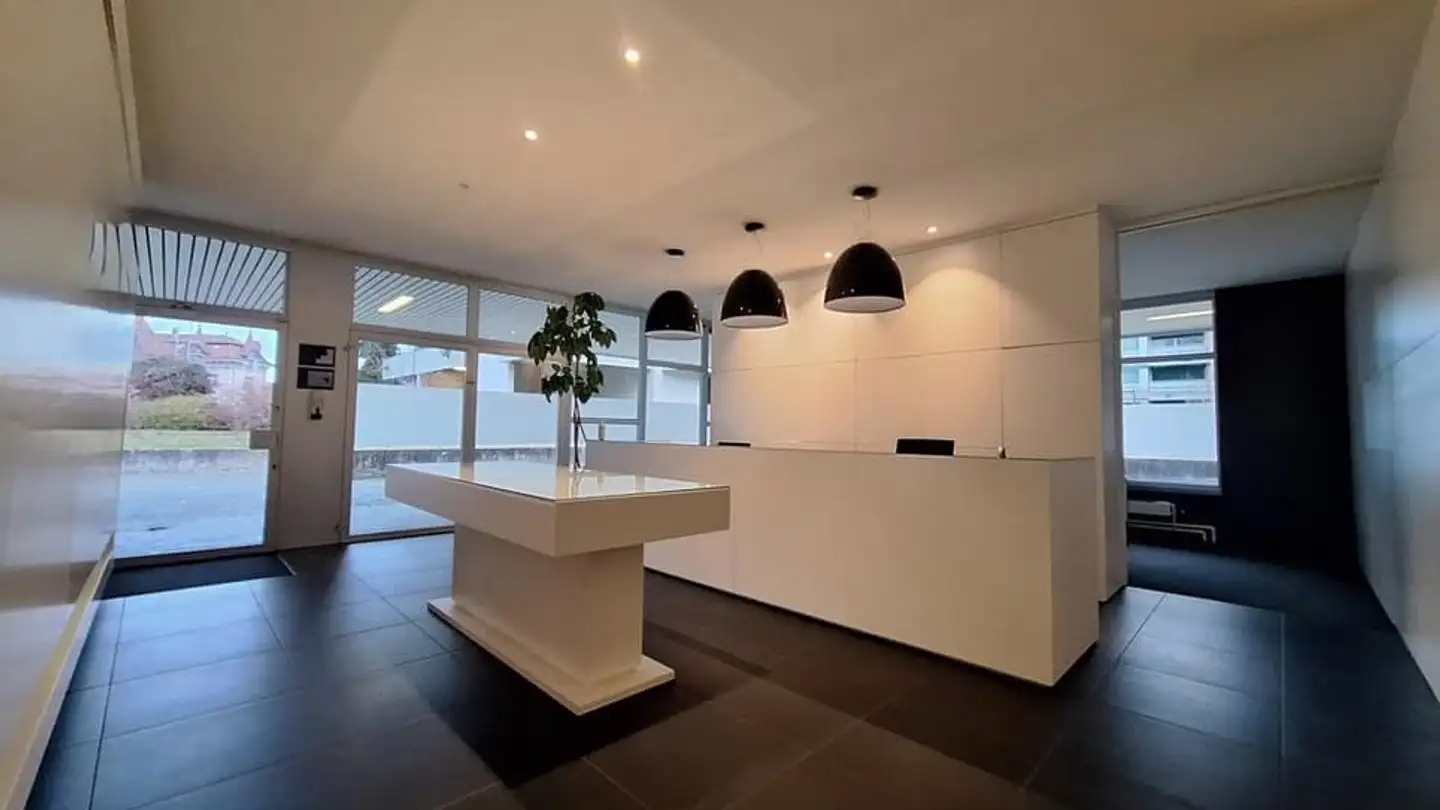 Commerciale in affitto - Rue De La Mouline 8, 1022 Chavannes-près-Renens