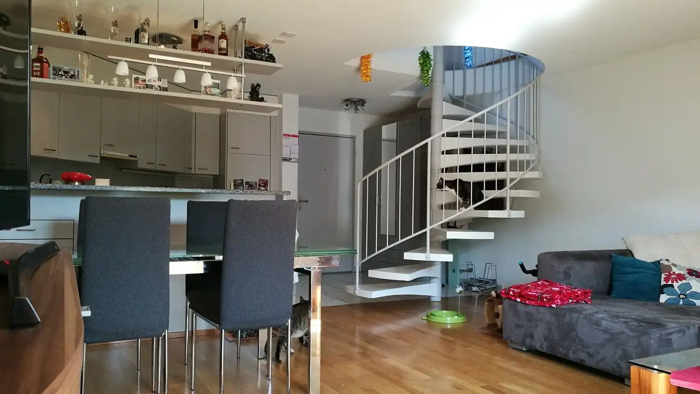 Duplex à louer - Bernstrasse 67, 8964 Rudolfstetten