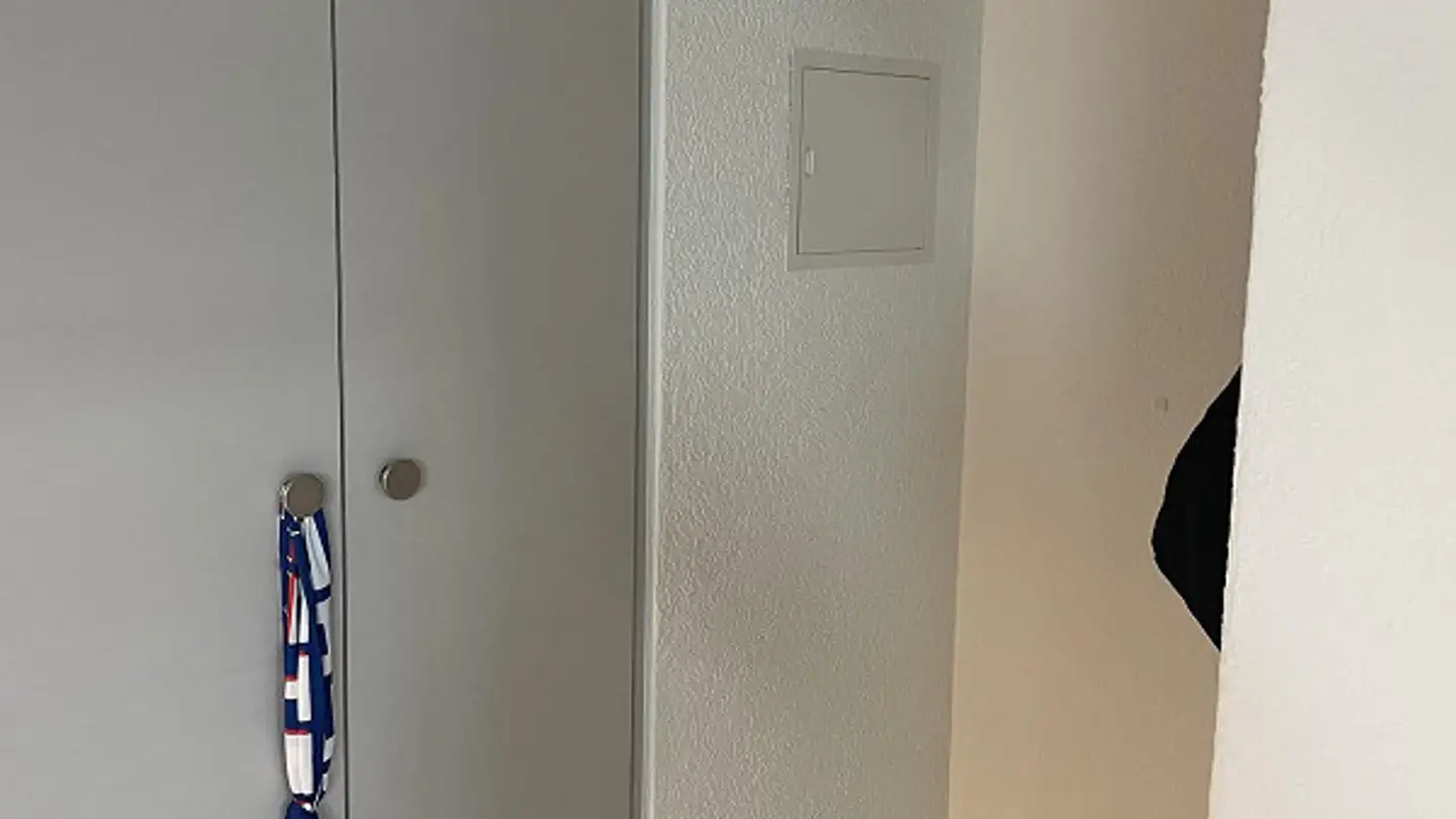 Penthouse for rent - Dorfstrasse 52, 8484 Weisslingen - Photo 3