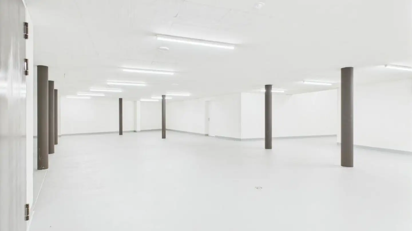 Single garage for rent - Hinder Müli 3, 6215 Beromünster - Photo 3