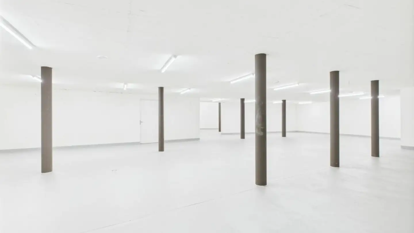 Single garage for rent - Hinder Müli 3, 6215 Beromünster - Photo 4