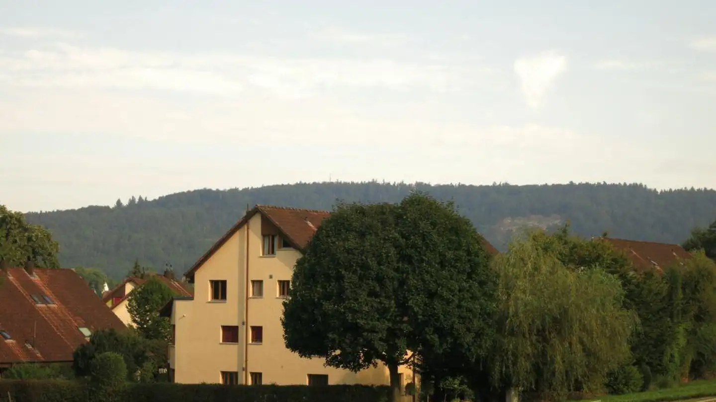 Storage space for rent - Oberriedenstrasse 67, 5412 Gebenstorf