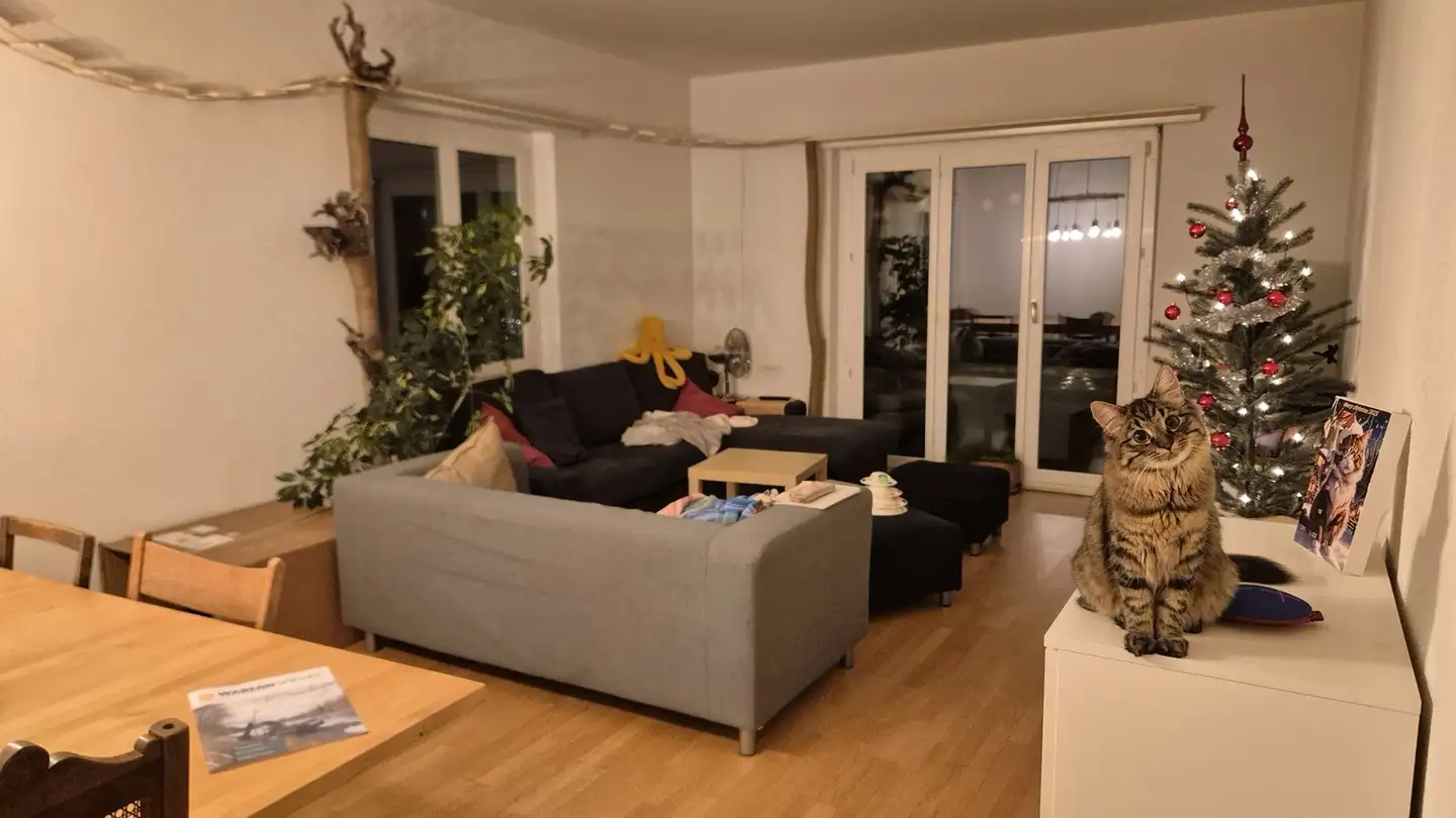 Stanza singola in affitto - Seftigenstrasse 226, 3084 Wabern