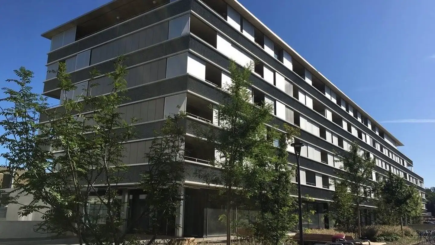 Commercial à louer - Chemin Des Cèdres 2, 1022 Chavannes-près-Renens