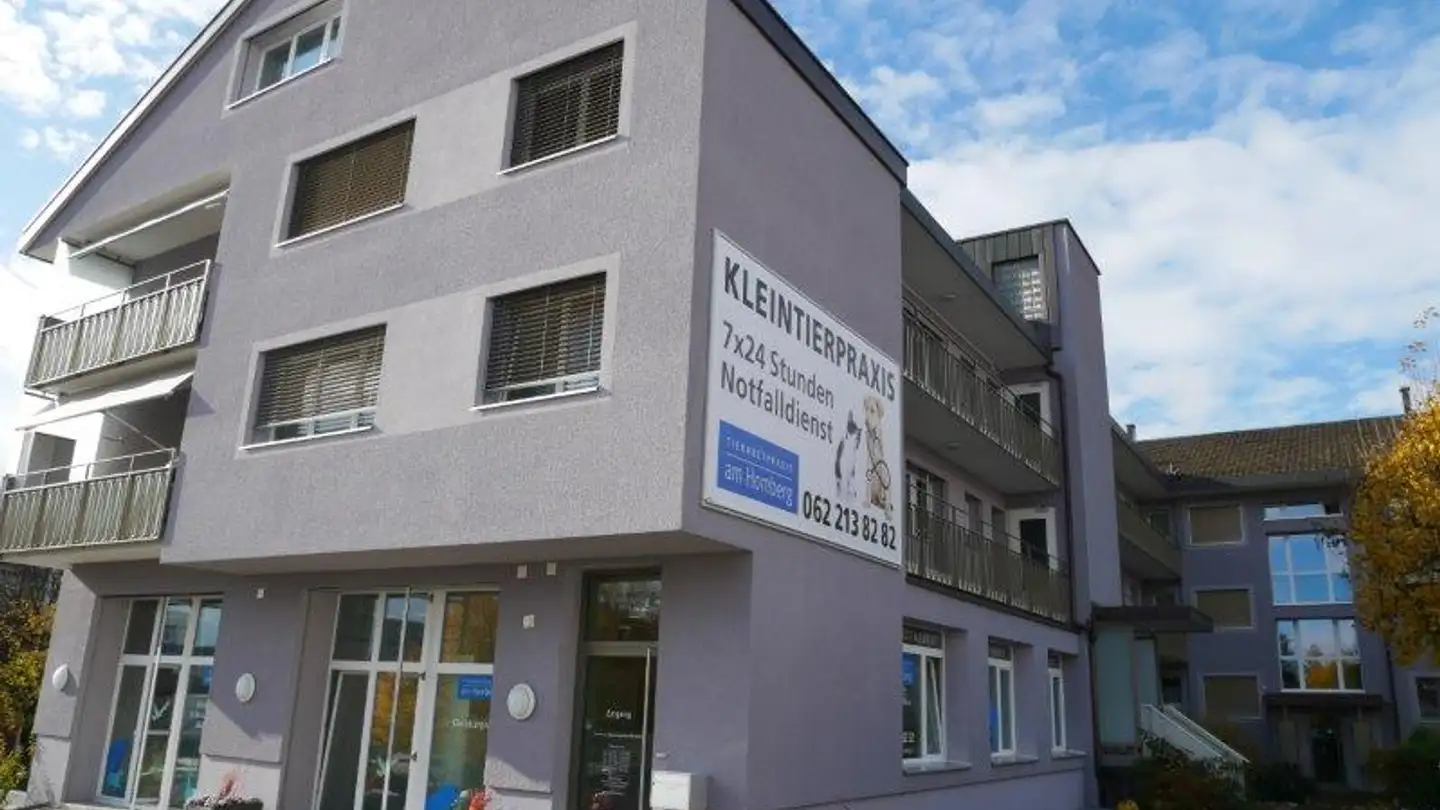 Gewerbe mieten - Dorfstrasse 18, 4612 Wangen b. Olten