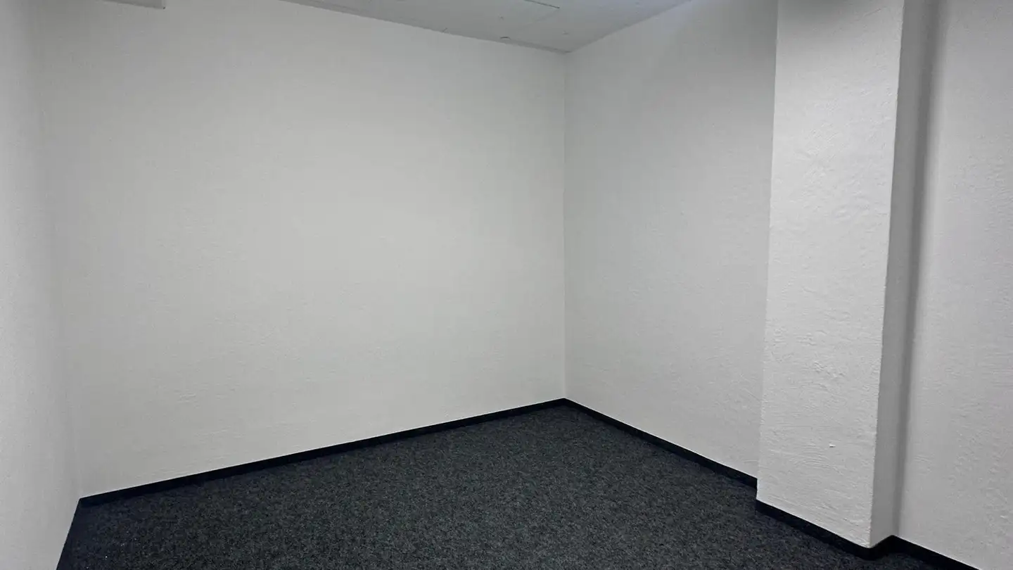 Storage space for rent - Neugütlistrasse 1, 9220 Bischofszell - Photo 3