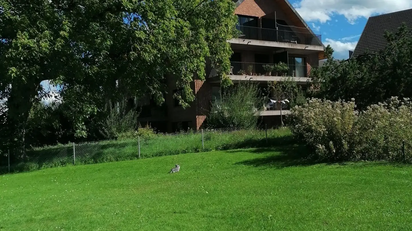 Appartement à louer - 8610 Uster - Photo 2