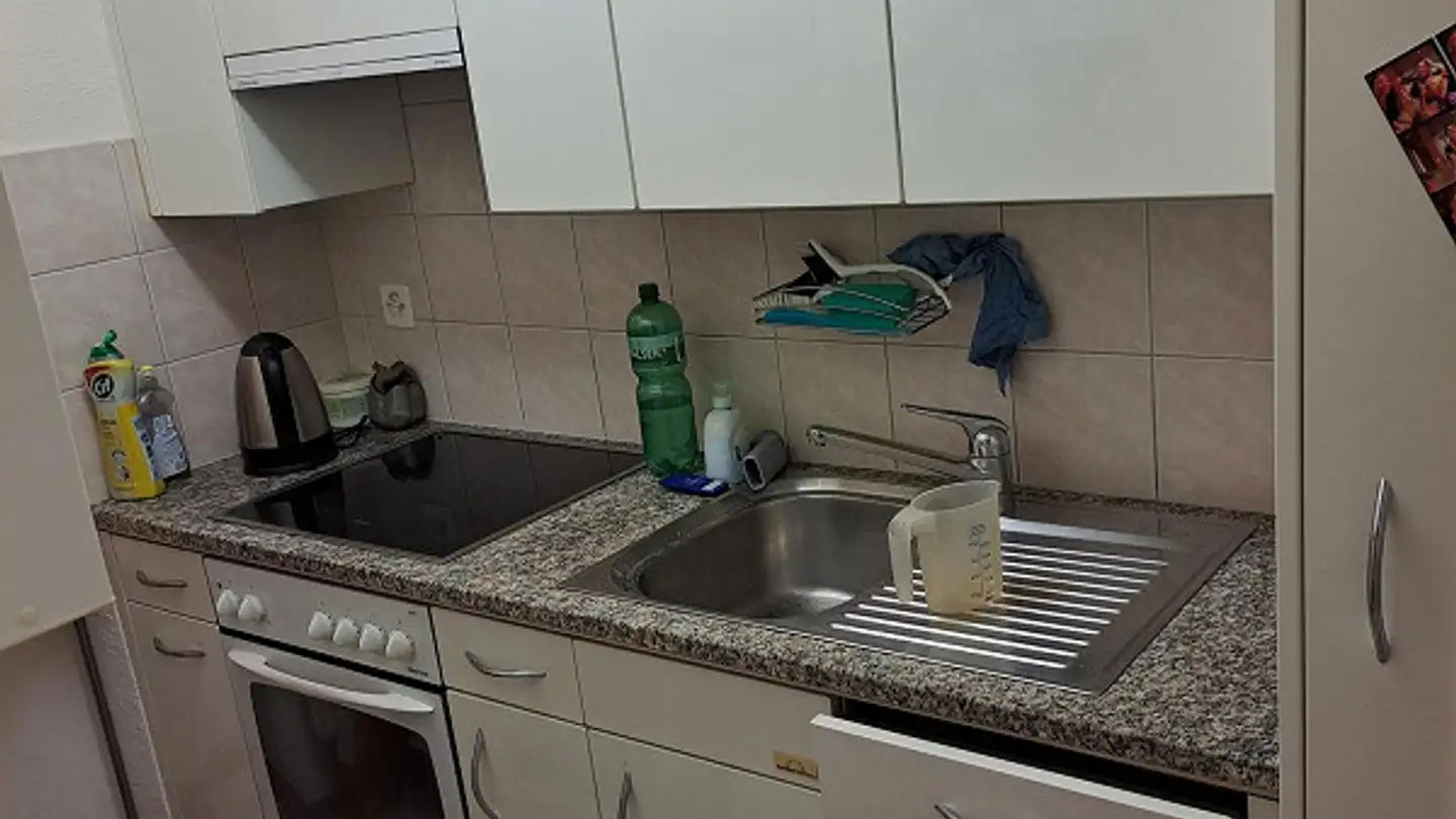 Appartamento in affitto - Myrthenweg 11, 7000 Chur - Foto 3