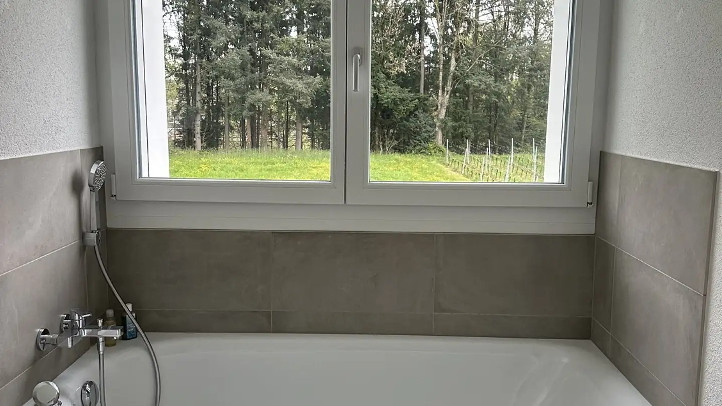 Single room for rent - 8832 Wilen b. Wollerau - Photo 3