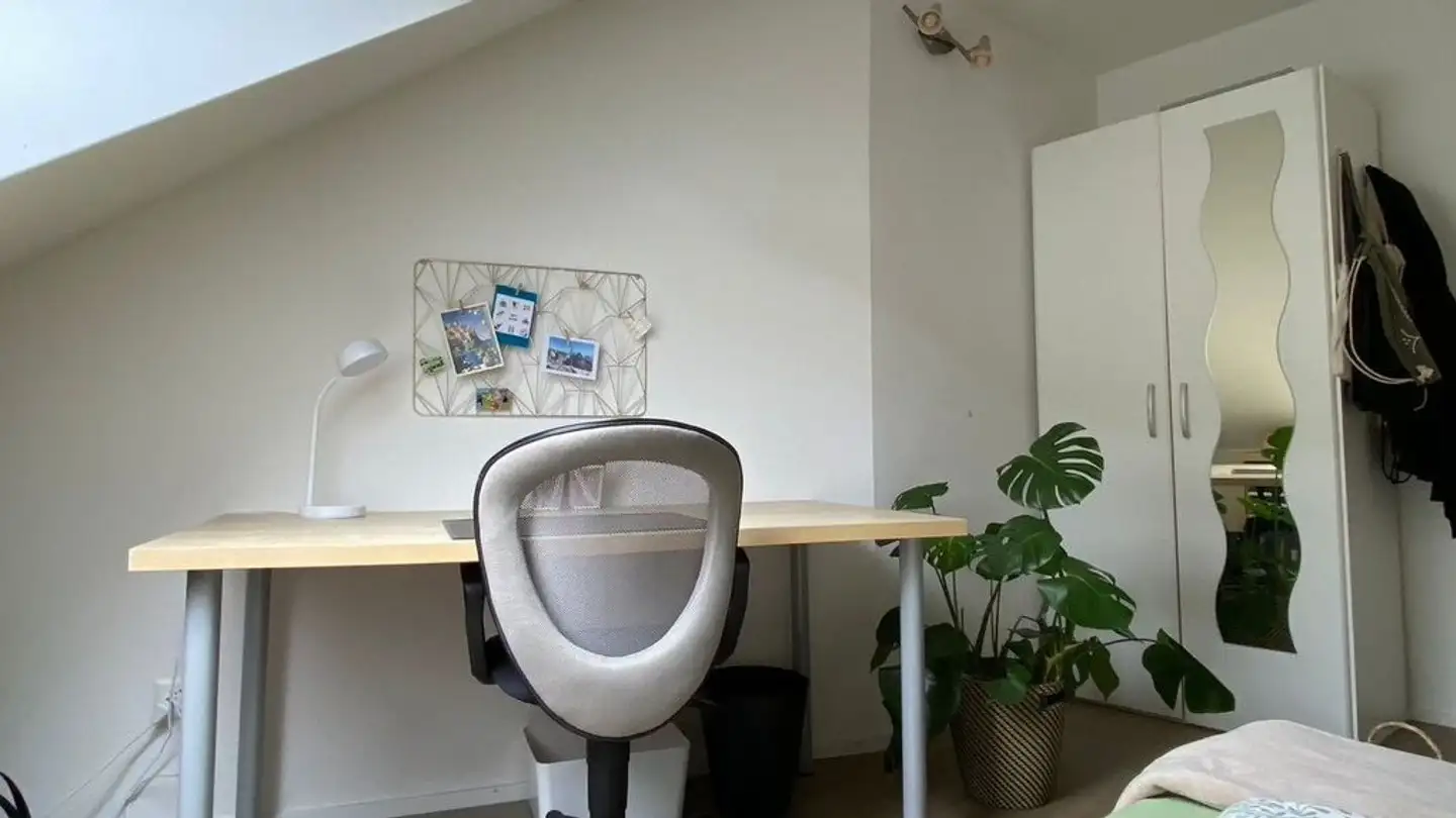 Chambre à louer - Ruhsitzstrasse 22, 9000 St. Gallen