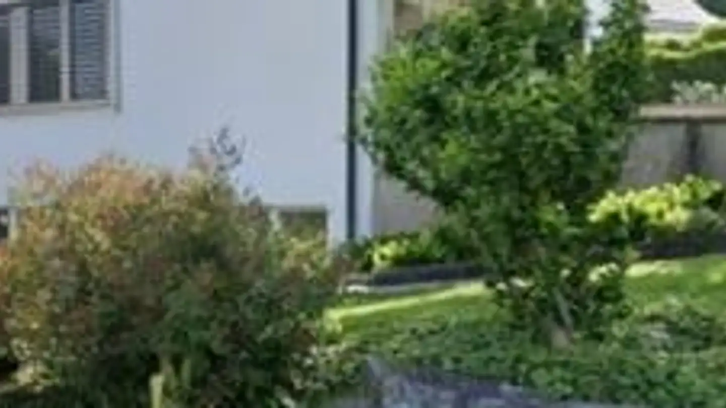 Single house for rent - Nelkenstrasse 5, 5210 Windisch