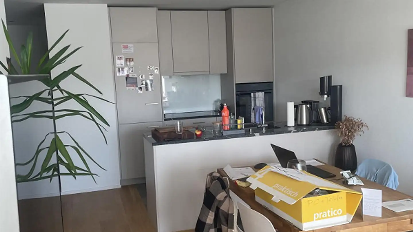 Appartement à louer - Zelgweg 19, 8500 Frauenfeld