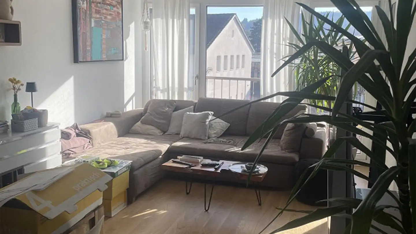 Appartamento in affitto - Zelgweg 19, 8500 Frauenfeld - Photo 3