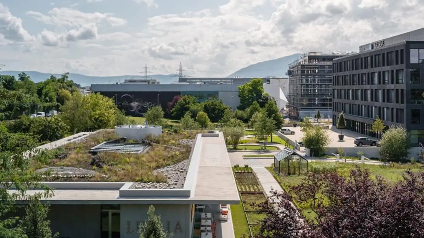 Mixed-use building for rent - Chemin D'entre-Bois 6, 1018 Lausanne