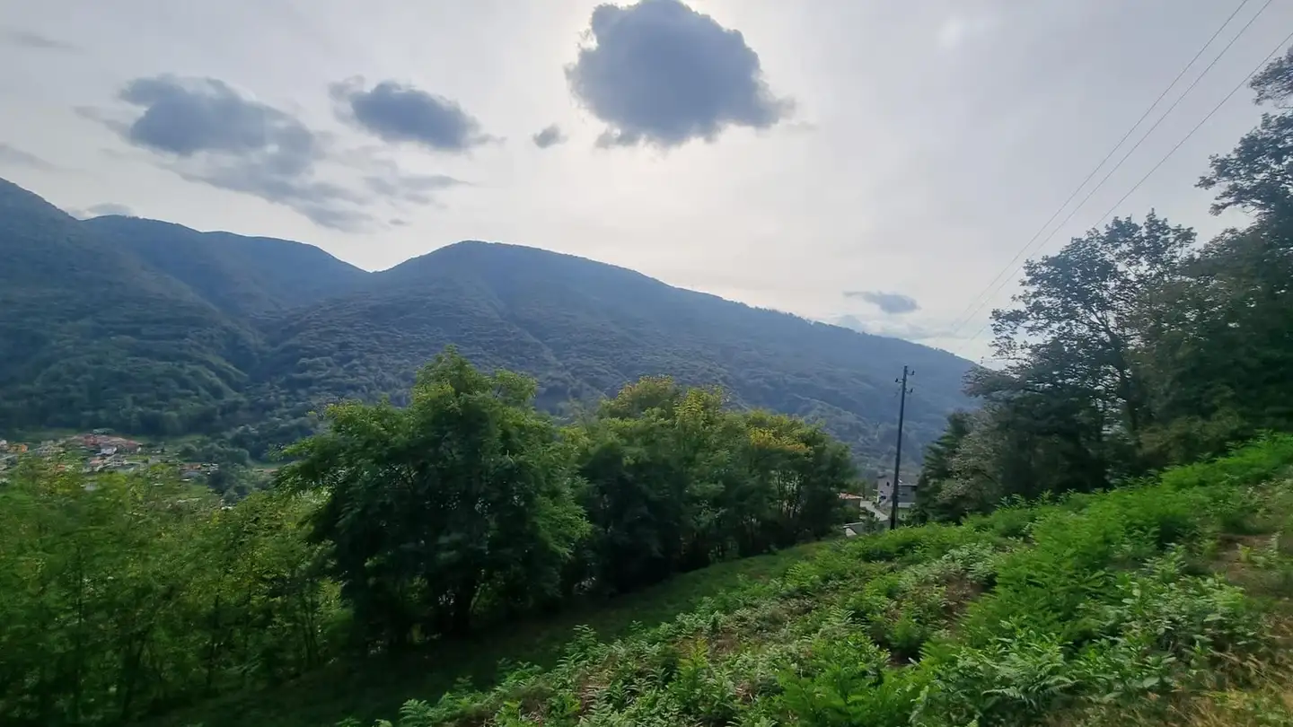 Terrain constructible à vendre - Via Monteggio, 6998 Monteggio - Photo 3