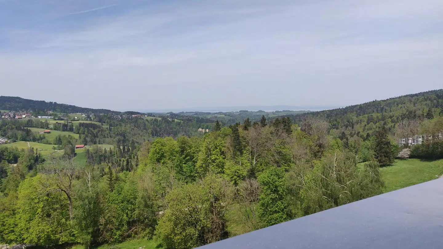 Apartment for rent - Schorenstrasse 56, 9000 St. Gallen - Photo 2