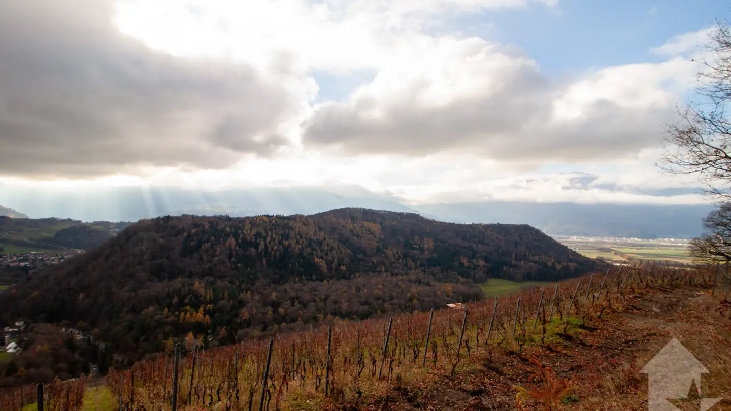 Maison individuelle à vendre - 1880 Bex - Photo 3