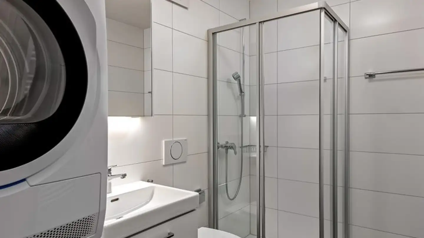 Apartment for rent - Altstetterstrasse 176, 8048 Zürich - Photo 4