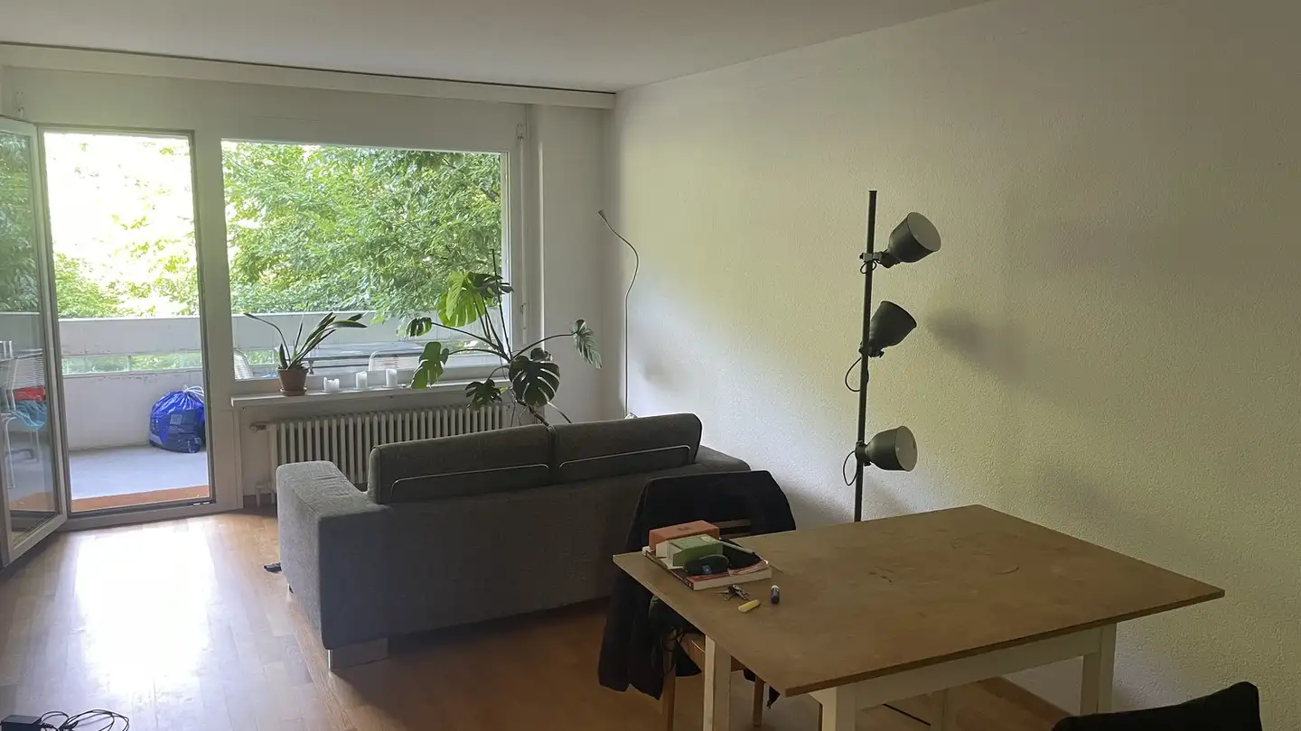 Appartement à louer - Döltschihalde 33, 8055 Zürich - Photo 2