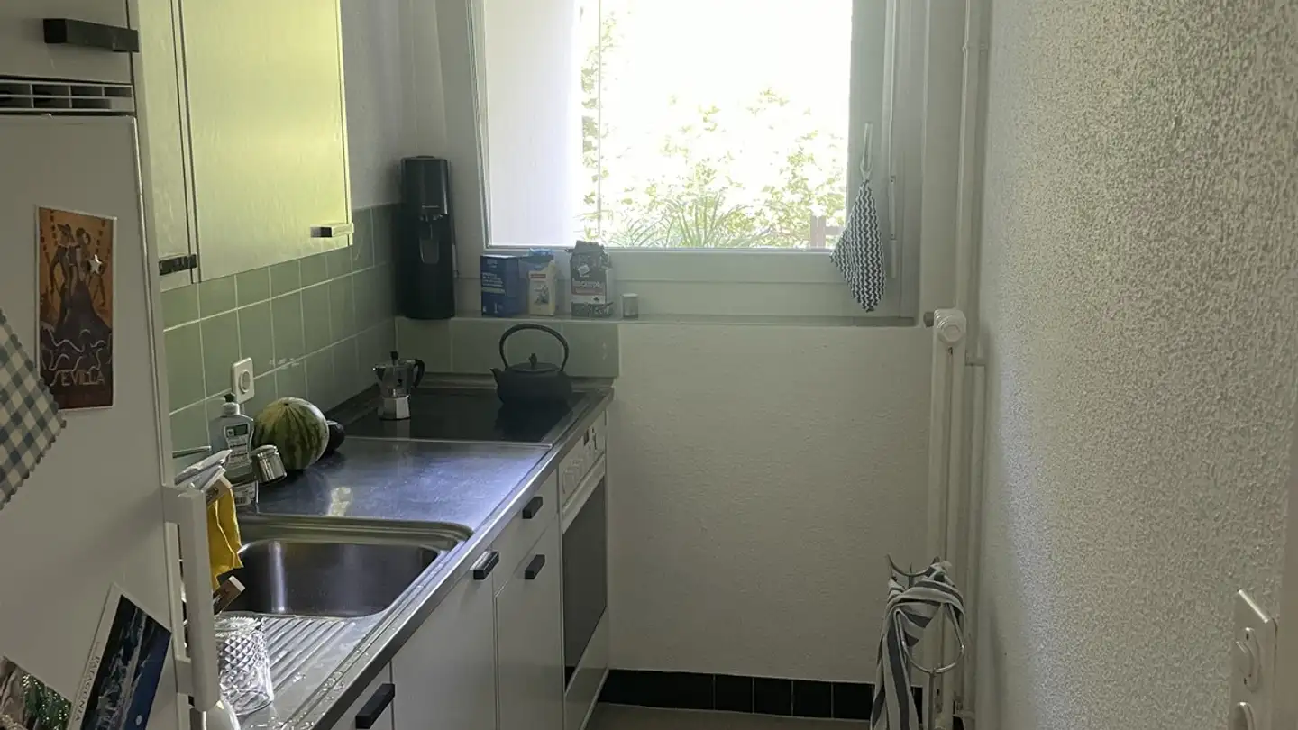 Appartement à louer - Döltschihalde 33, 8055 Zürich - Photo 4