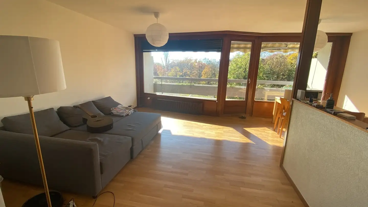 Appartement à louer - Avenue Du Delay, 1110 Morges